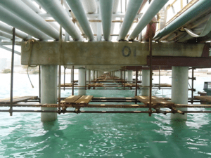 Screenshot 2026-03-11 at 23.16.04