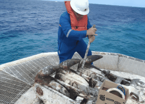 Screenshot 2026-03-11 at 23.43.07