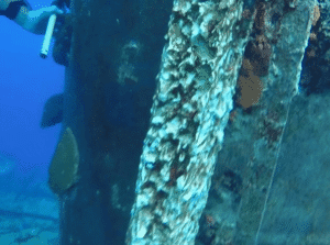 Screenshot 2026-03-11 at 23.43.50