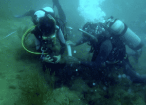 Screenshot 2026-03-11 at 23.45.32