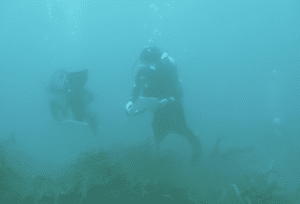 Screenshot 2026-03-11 at 23.45.53