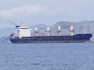 Screenshot 2026-03-11 at 23.47.34