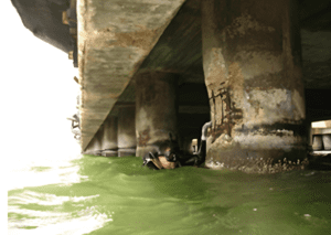 Screenshot 2026-03-11 at 23.51.13