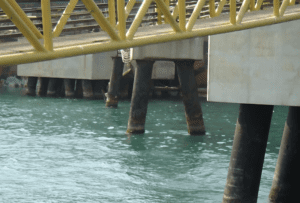 Screenshot 2026-03-11 at 23.52.18