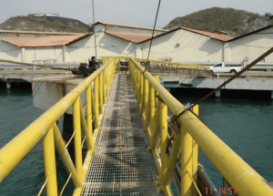 Screenshot 2026-03-11 at 23.52.51