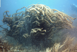 Screenshot 2026-03-13 at 00.28.41