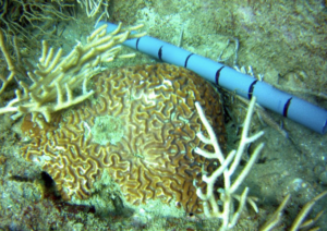 Screenshot 2026-03-13 at 00.28.57